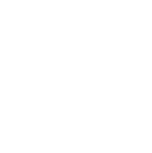 Logo fabriqué à Lyon 